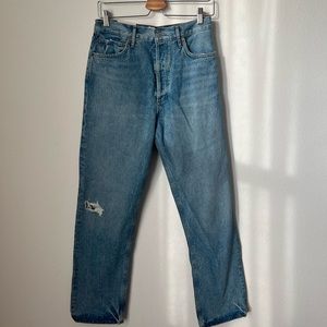 AGOLDE 90’s Pinch Waist High Rise Straight Jeans